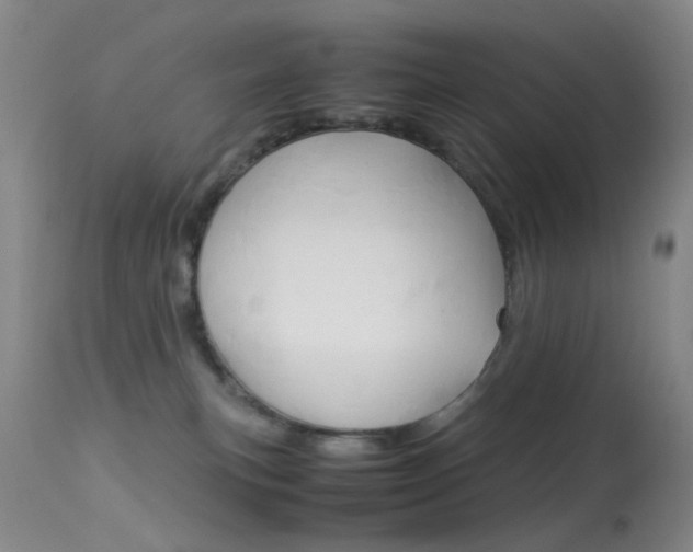 X0000113540183200909181032