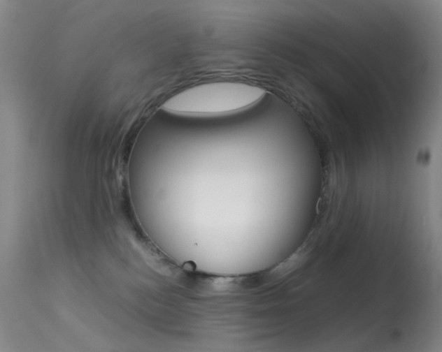 X0000113540184200909181032