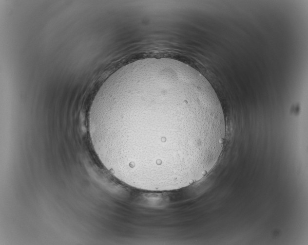 X0000113540187200909181032