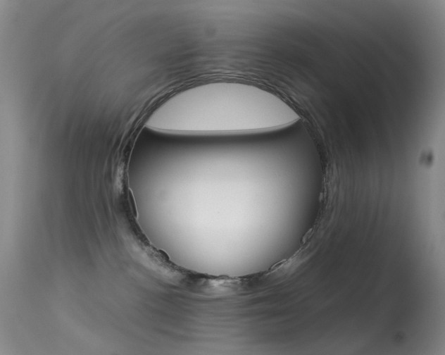 X0000113540188200909181032