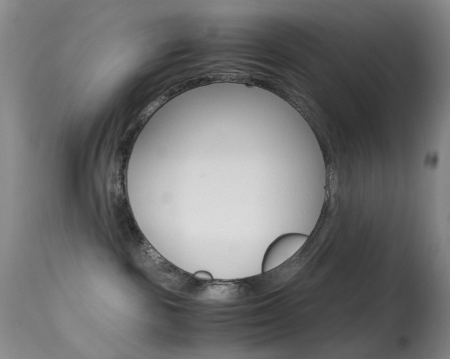 X0000113540189200909181032