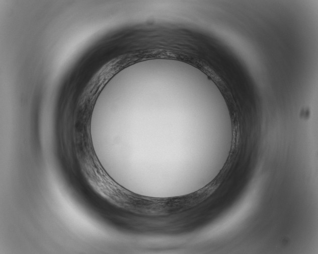 X0000113540191200909181032