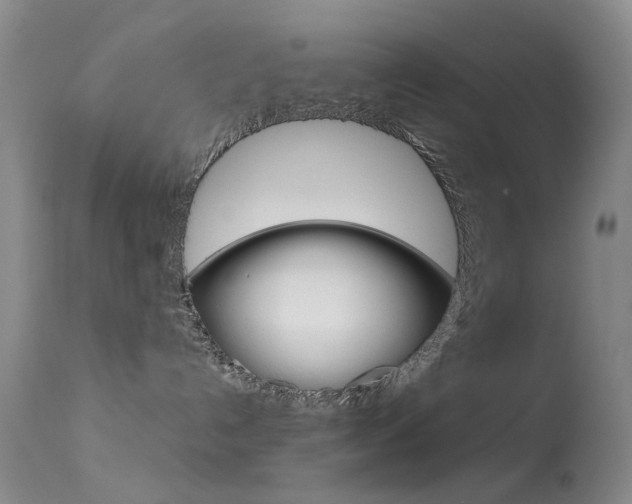X0000113540192200909181032