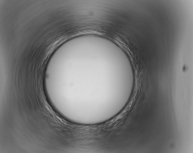 X0000113540193200909181031