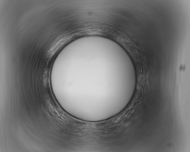 X0000113540194200909181031