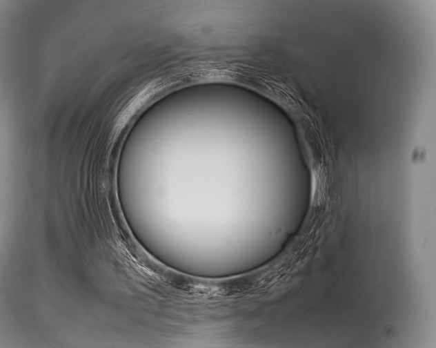 X0000113540195200909181031