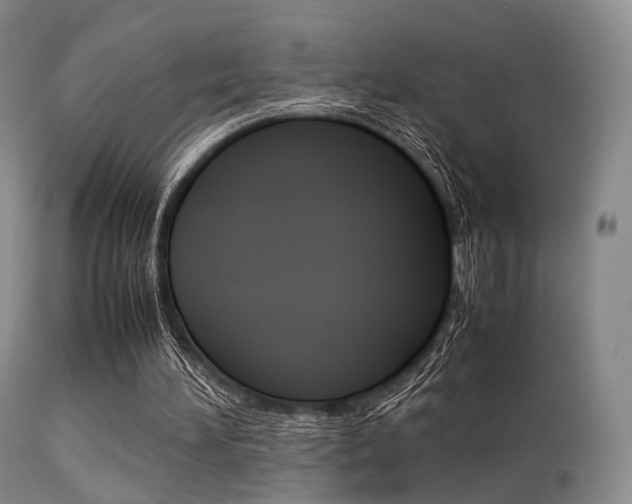 X0000113540196200909181031