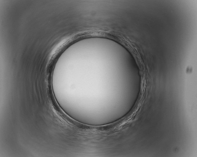 X0000113540197200909181031