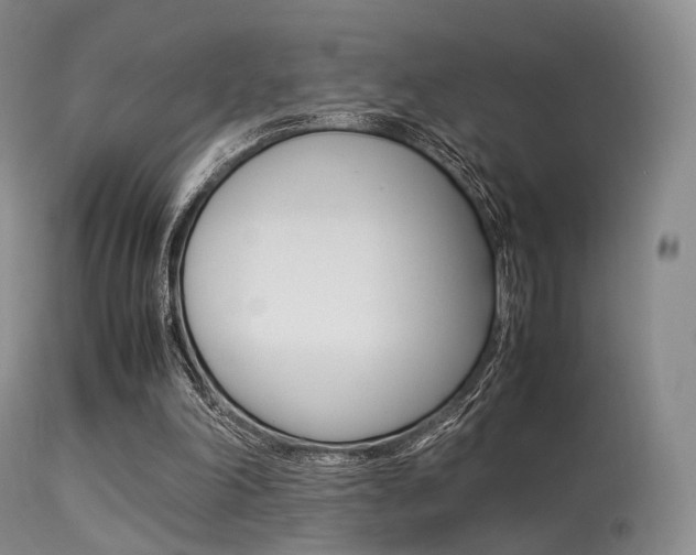 X0000113540198200909181031
