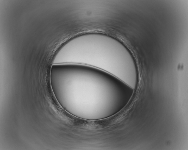 X0000113540201200909181031