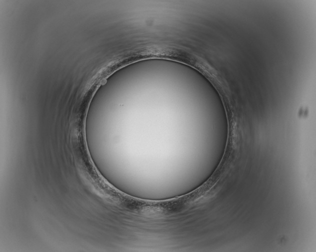 X0000113540203200909181031