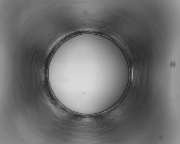 X0000113540204200909181031