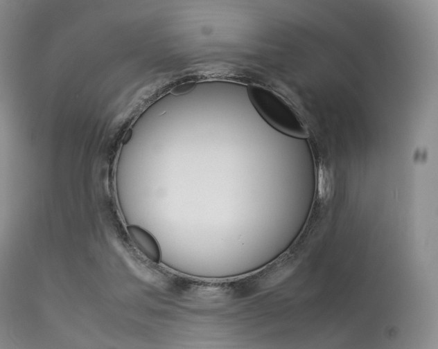 X0000113540205200909181031