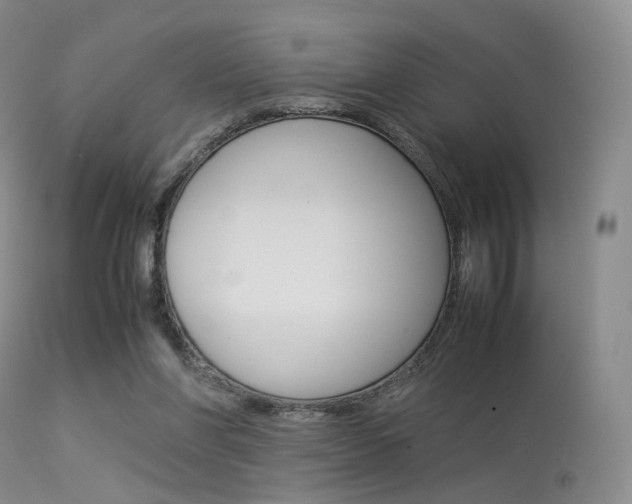 X0000113540206200909181031