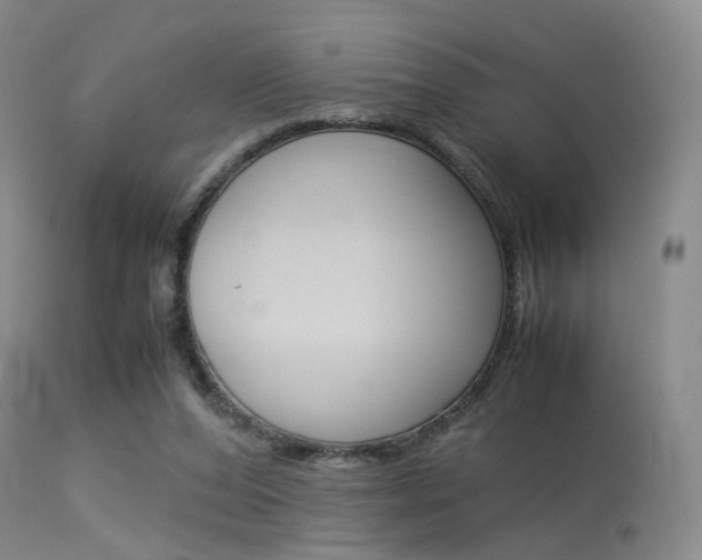 X0000113540208200909181031