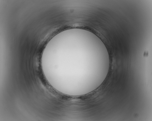 X0000113540210200909181031