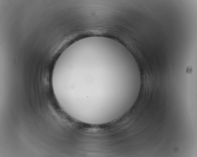 X0000113540212200909181031