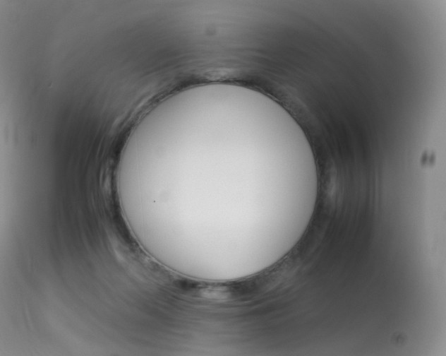 X0000113540214200909181031