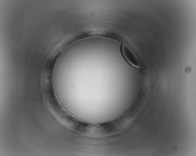 X0000113540215200909181031