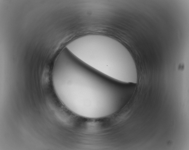 X0000113540216200909181031