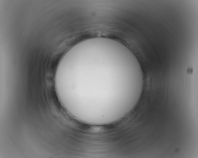 X0000113540218200909181031