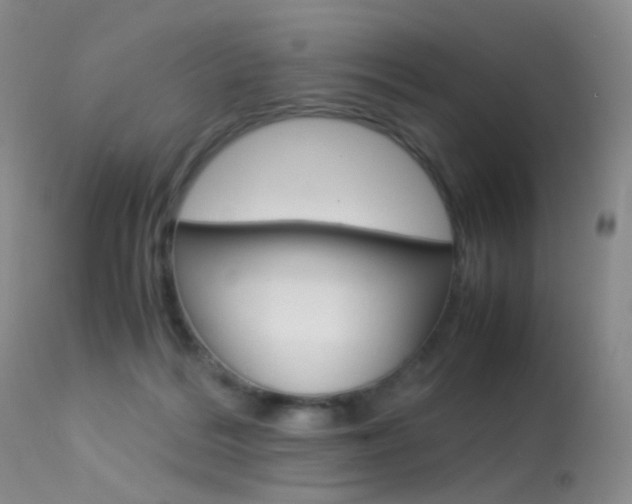 X0000113540220200909181031