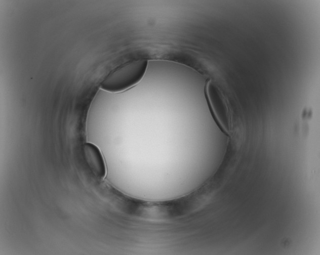 X0000113540221200909181031