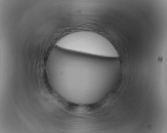 X0000113540223200909181031