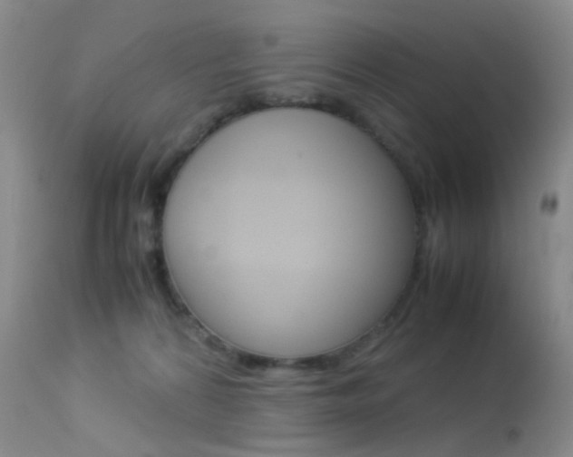 X0000113540224200909181031