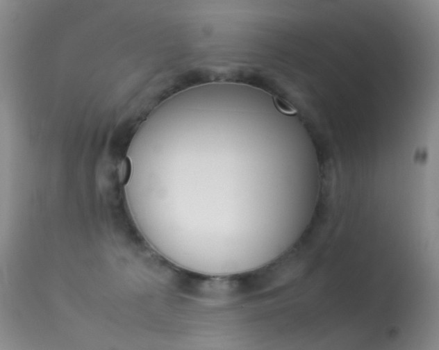 X0000113540225200909181031