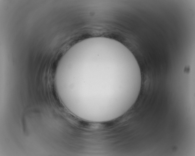 X0000113540226200909181031