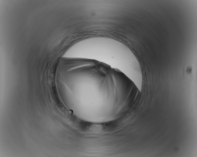 X0000113540227200909181031