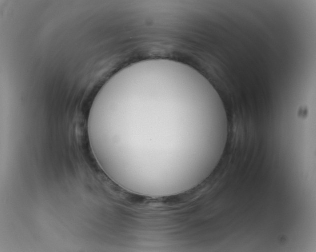 X0000113540228200909181031