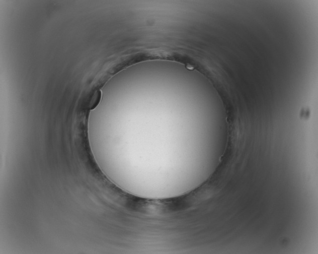 X0000113540229200909181030