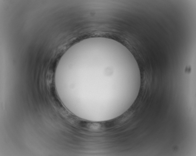 X0000113540230200909181030