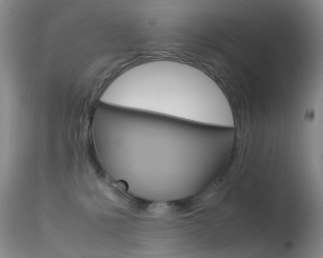 X0000113540231200909181030