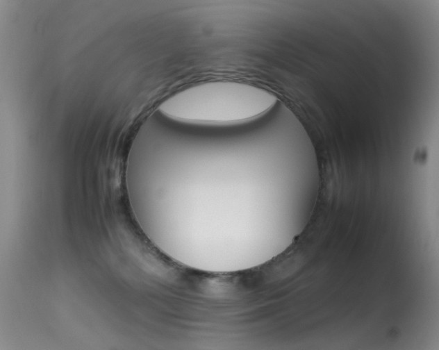 X0000113540232200909181030
