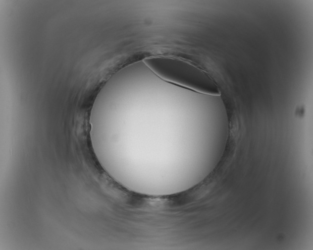 X0000113540233200909181030