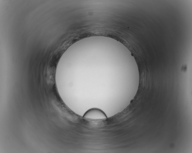 X0000113540234200909181030