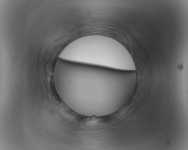 X0000113540235200909181030