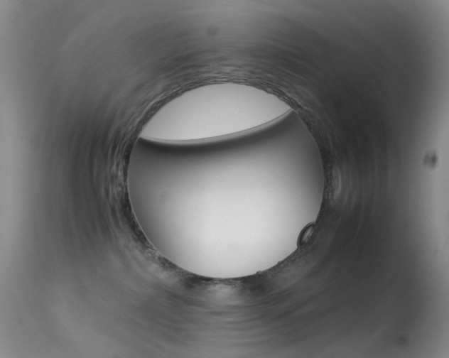 X0000113540236200909181030