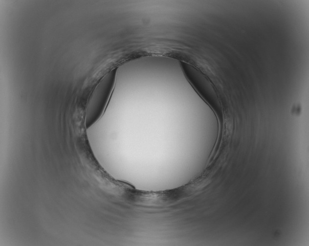 X0000113540237200909181030