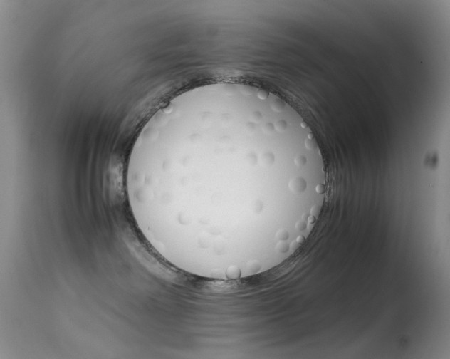 X0000113540238200909181030