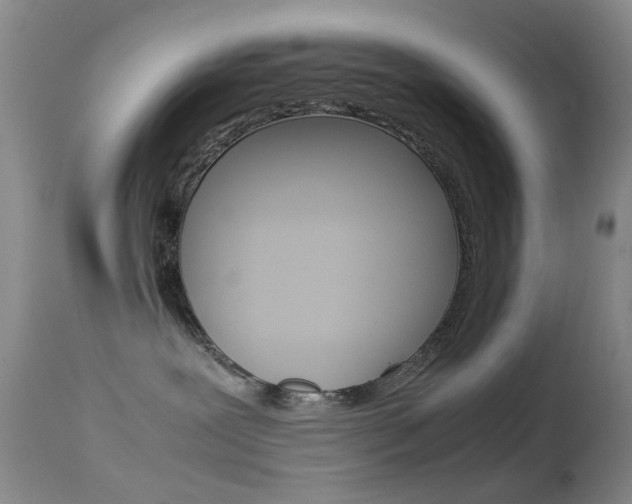 X0000113540239200909181030