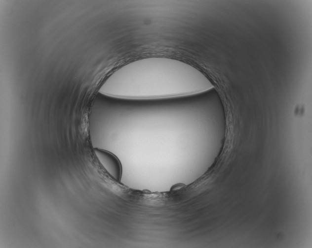 X0000113540240200909181030