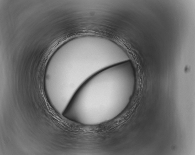 X0000113540241200909181030