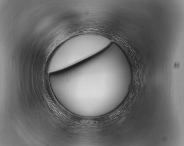 X0000113540242200909181030