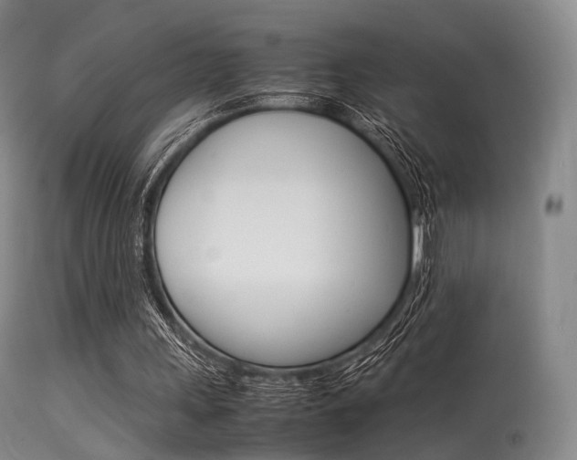 X0000113540243200909181030