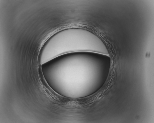 X0000113540244200909181030