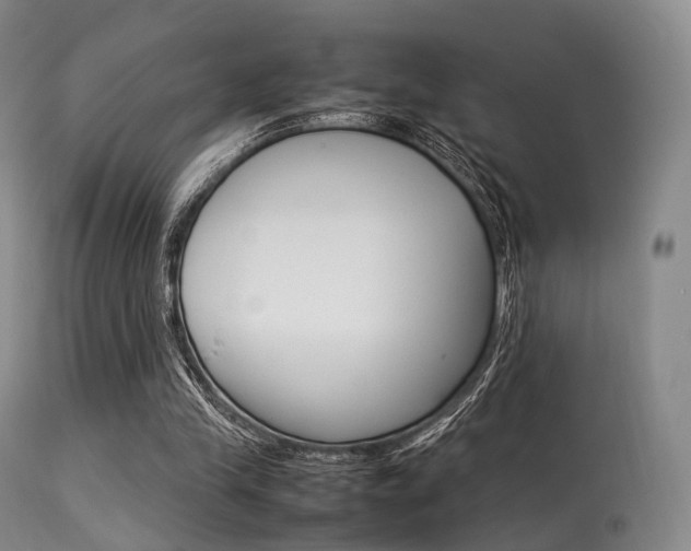 X0000113540245200909181030